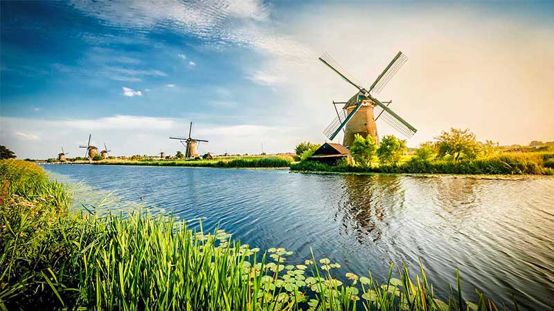 Blue Elephant provides technical support for global users-in Netherlands 1