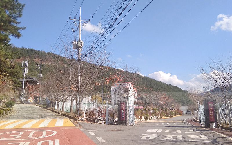 Technical Supports in Korea! 1325 CNC Wood Carving Machine and Laser CNC 8 Technical Supports in Korea! 1325 CNC Wood Carving Machine and Laser CNC 8