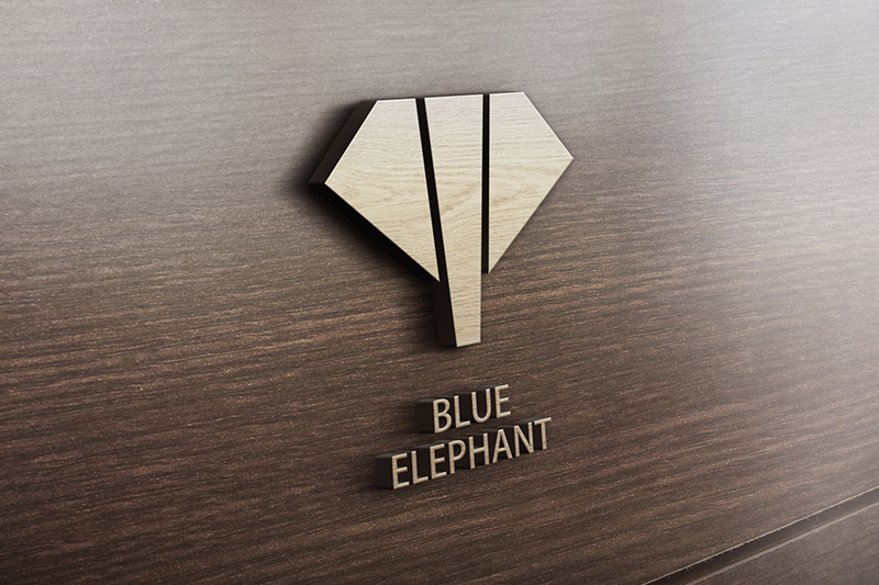Blue Elephant The Most Complete Panel Saw Machine for Wood Panel Cutting Price 2024 5