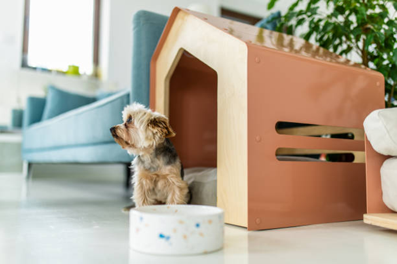 High Efficiency Furniture Production Line Makes Pet Furniture How to Make Money Using High Efficiency Furniture Production Line for Beginners? 11