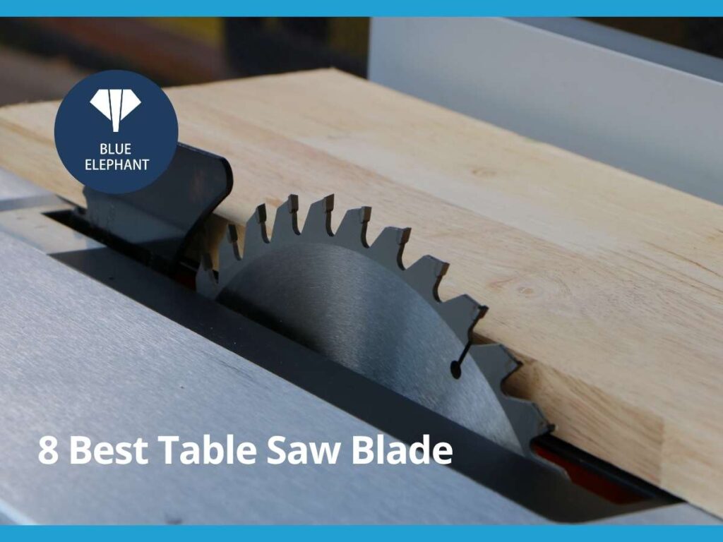 best table saw blade 1